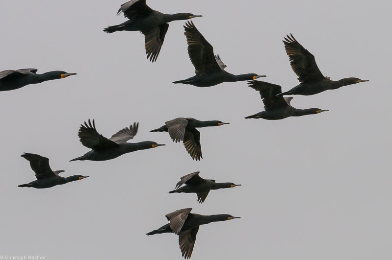 Namibia - Walvis Bay