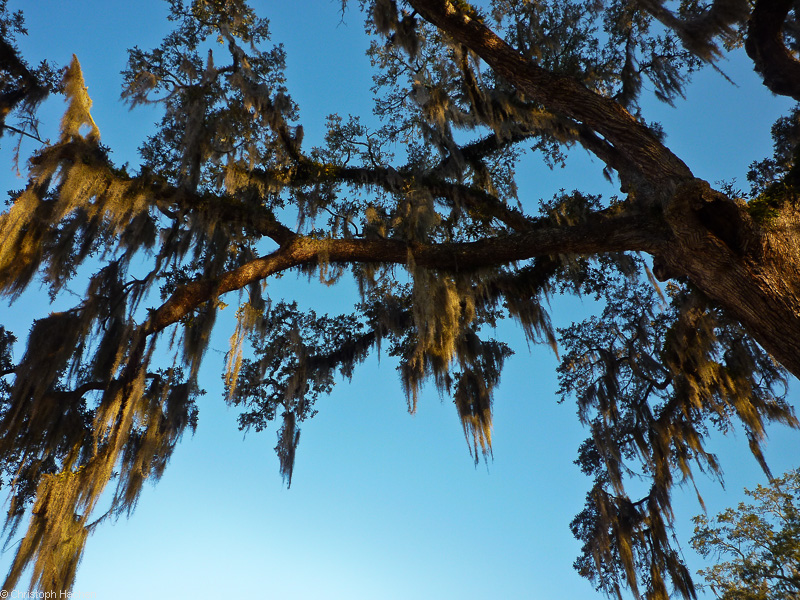 Florida & New Orleans - Tallahassee