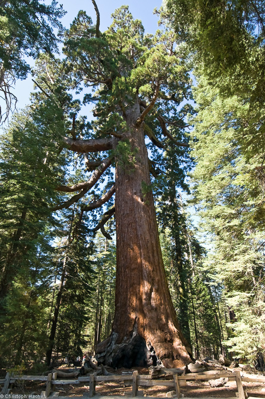 Southwest US 1 - California - Yosemite